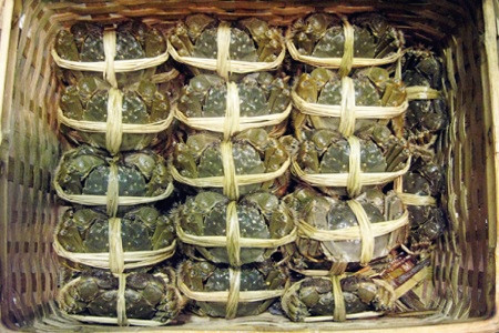 绑蟹用什么绳子才安全健康?