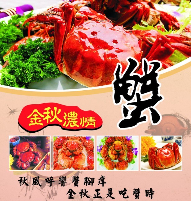 蒸大闸蟹时间需要多久