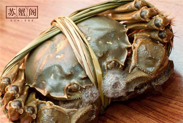 阳澄湖大闸蟹