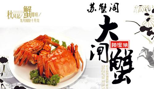 阳澄湖大闸蟹