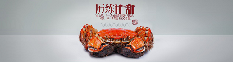阳澄湖大闸蟹