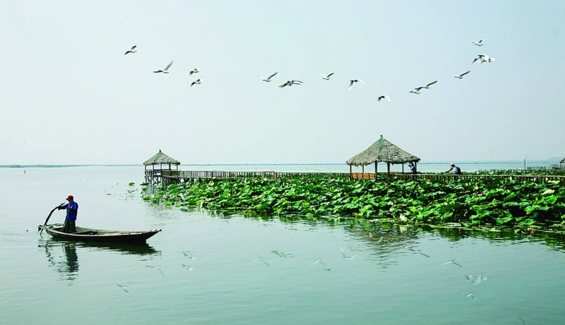 阳澄湖大闸蟹